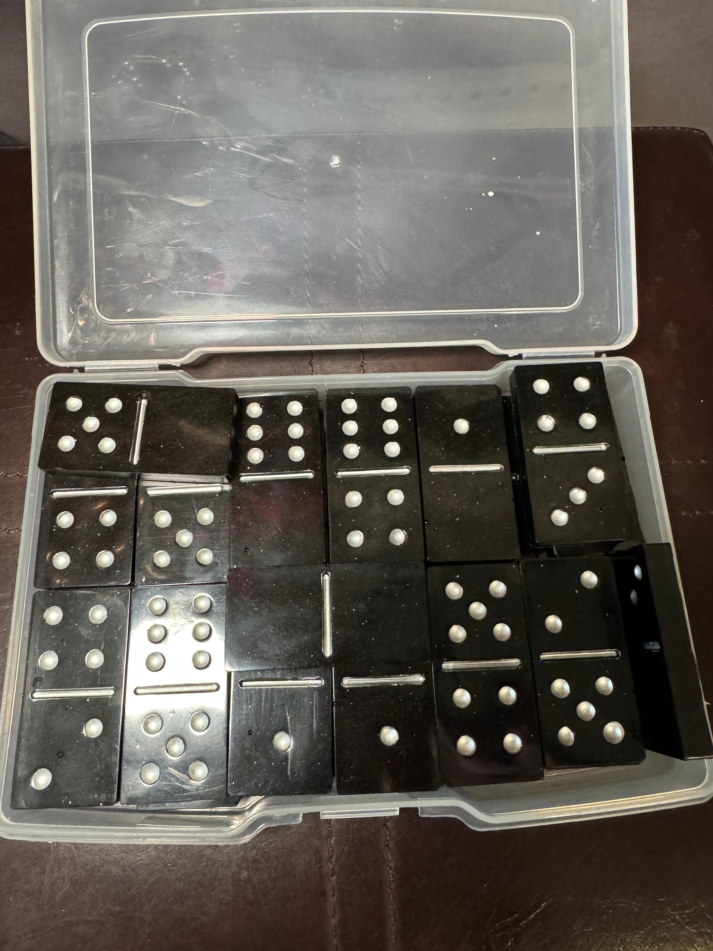 Silver Back Dominoes